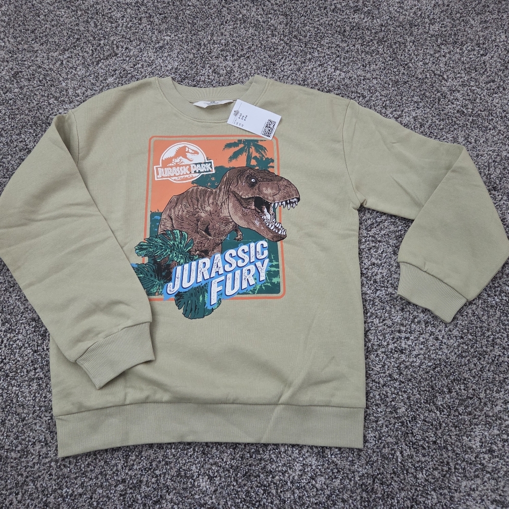 H&M Light Green Dinosaur Graphic Jurassic Park Crewneck Sweatshirt